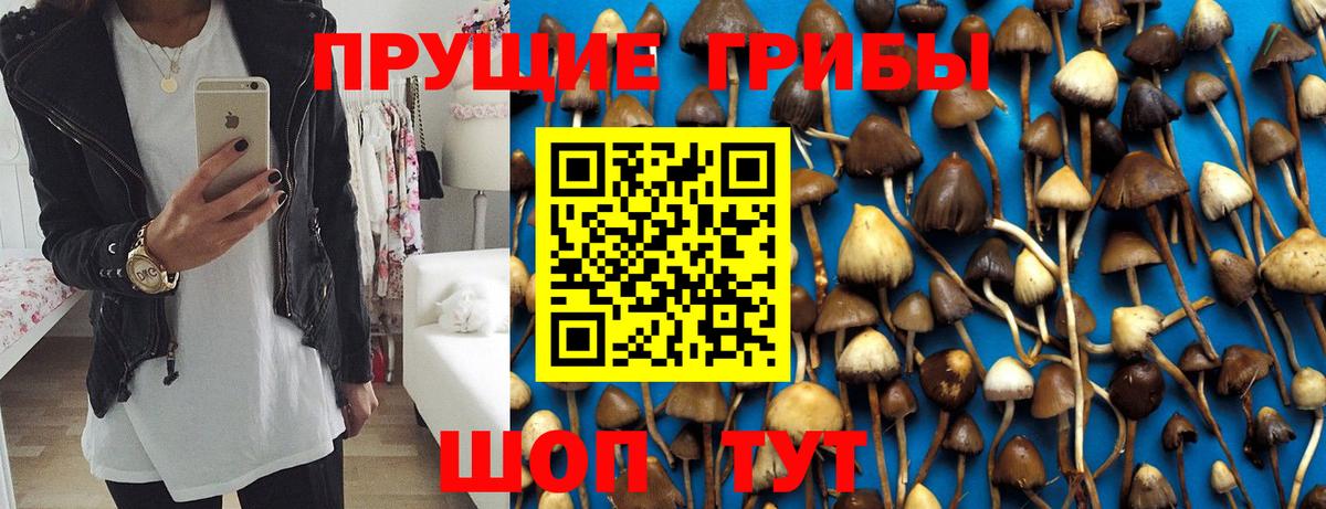 Галлюциногенные грибы Psilocybine cubensis  Галлюциногенные грибы мицелий  Зима  Вход с VPN 